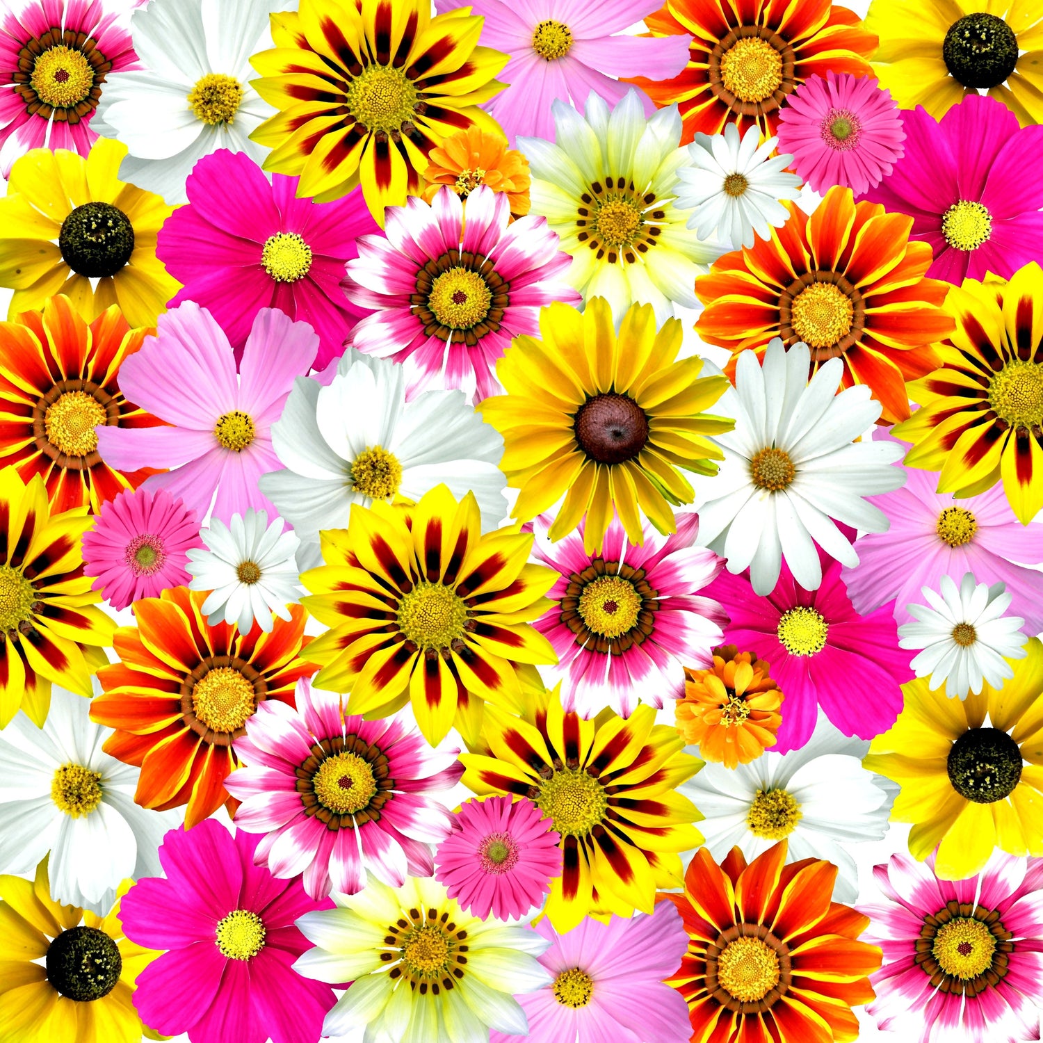 FLORAL PERFUMES
